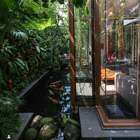 Meet your Posher, Mishon - Picture 1 of 1